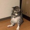 黃