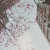 gracehan0424