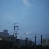 恐龍不笨