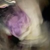 討厭長髮男->理解長髮男->成為長髮男