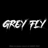 灰飞greyfly