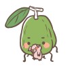 guavapig