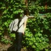 summer