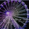 .℡.﹏⒘號