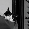 郭です