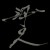 海口人-Haikoupeople