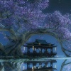 hakutaku