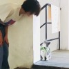 陈撒野