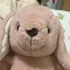 hana1010263