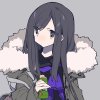 jolly_brook_jwq