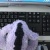 蜜糖波堤