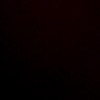NO0B (demo)