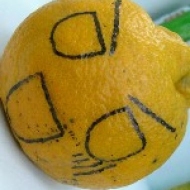 任性的茱麗葉公主