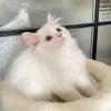正男