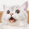 謝佳臻