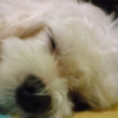 今晚你想念的人是不是我♥♥