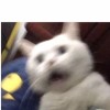 琨昱