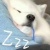 TT ୧( ⁼̴̶̤̀ω⁼̴̶̤́ )૭