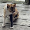 陳以謙