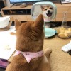 七喜