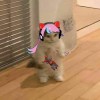 neru