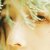 hidden_butterfly_4t4