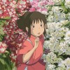 这个那个流星