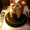 奇蹟樂園