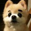 廣田 けん