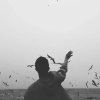 小灰人