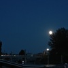 hlee4654