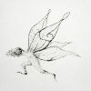 _ _ _Murmur