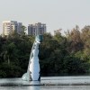 活化石