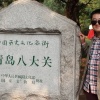 树枝孤鸟