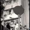 Kamikaze