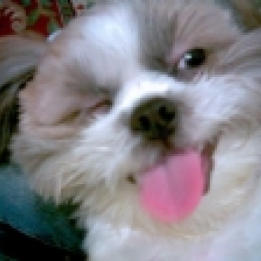 Me Love