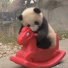 打扮好了找姑娘