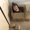 hsiang_yc