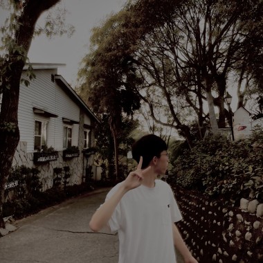 跳耀的十二月花