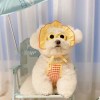 Cute dog