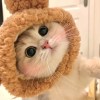 軒