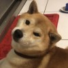 Hsyuuuu