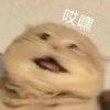 花菜菜