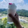 huahuacai