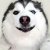 luoshiyin