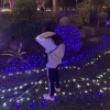 卉菻.