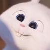 Yu