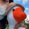 Yufish