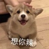 huiyuuu