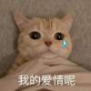morning_huohuohuo